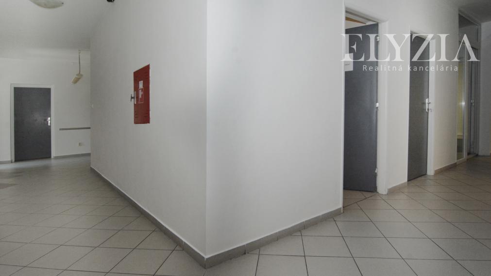 ELYZIA | TOP LOKALITA! PRENÁJOM kancelárie, vysoké stropy, Trenčianska ul.,Bratislava II