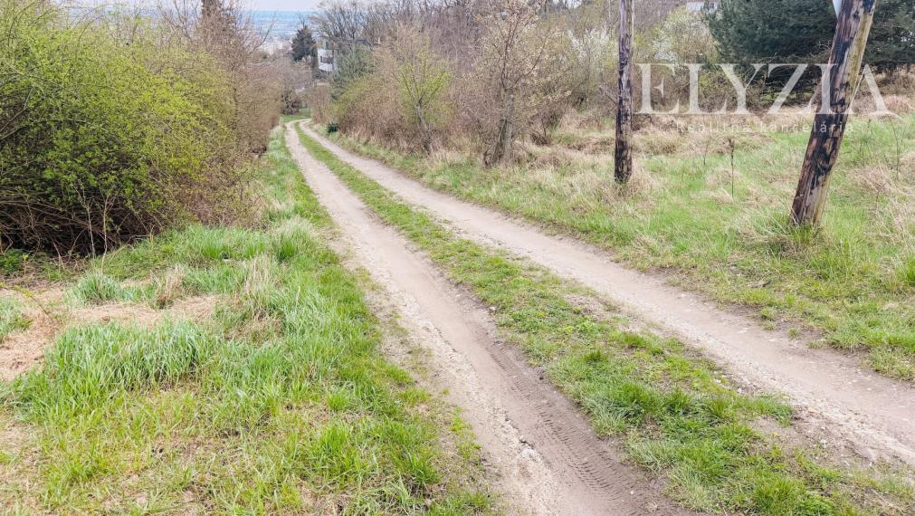 Nádherná záhrada na predaj – Bratislava III, Rača 